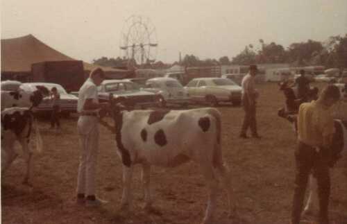 Stuart and his calf Mary Jane at 1968 Vermilion County Fair