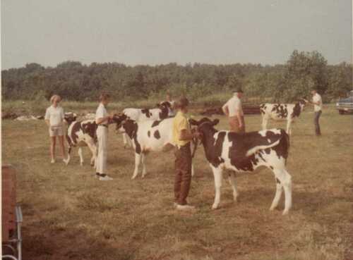 Judging at the 1968 Vermilion County Fair